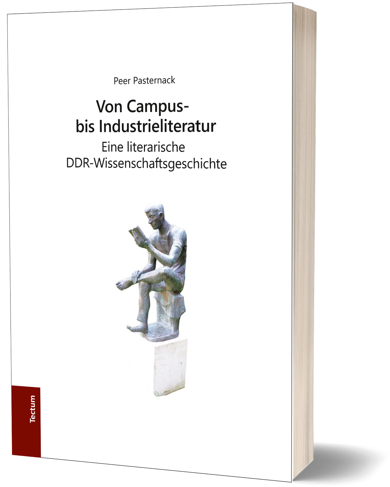 Cover Pasternack Campus- und Industrieliteratur