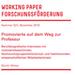 Promovierte auf dem Weg zur Professur. Berufsbiografische Interviews mit Juniorprofessor(inn)en, Nachwuchsgruppenleiter(inne)n und habilitierenden wissenschaftlichen Mitarbeiter(inne)n