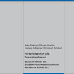 Förderlandschaft und Promotionsformen (B3). Studie im Rahmen des Bundesberichts Wissenschaftlicher Nachwuchs (BuWiN) 2017